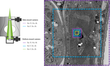 Choose the right FOV for your application