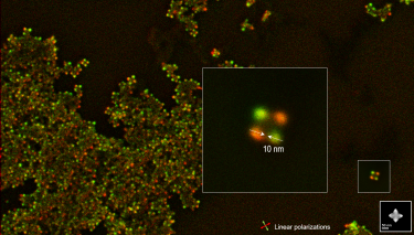 Monarc CL Detector: Polarization-Filtered CL 