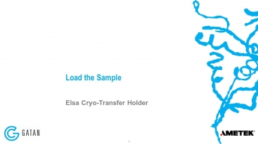 Elsa Cryo-Transfer Workstation