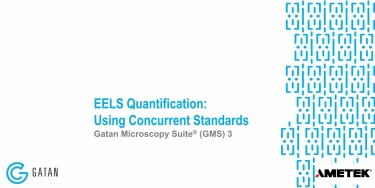 EELS Quantification: Using Concurrent Standards