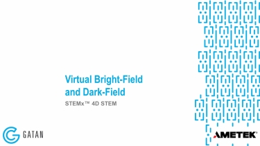 Virtual Bright- and Dark-Field