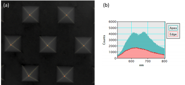 Surface plasmon resonance modes