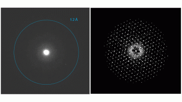 Stela camera for MicroED/3DED